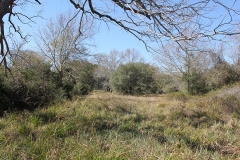 ross ranch land pasture