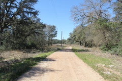 ross ranch land road 2