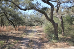 ross ranch land trails
