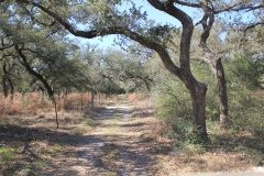 ross ranch land trails