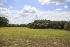 ross ranch pasture