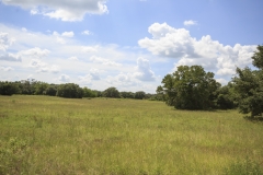 ross ranch pasture 2