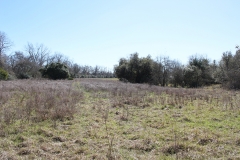 ross ranch pasture