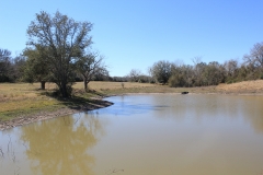 ross ranch pond view (2)