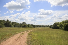 ross ranch road