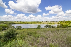 lake view 1