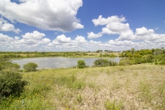 lake view (2)