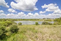 lake view 4