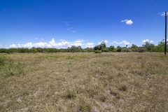 north tract brush