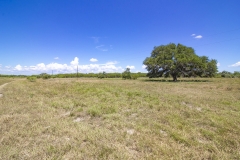 north tract oaks