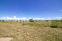 pasture
