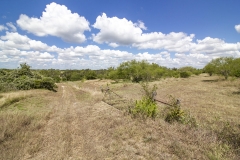 ranch elevations