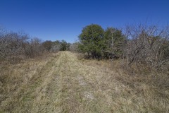 IMG_7829