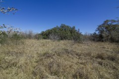 IMG_7832