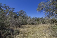 IMG_7840