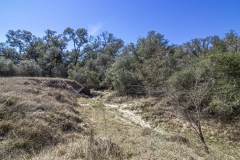 IMG_7841