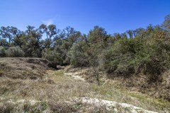 IMG_7848
