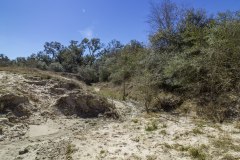IMG_7854