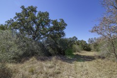 IMG_7855