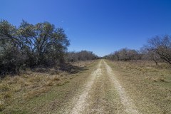 IMG_7870
