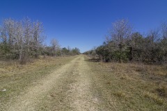 IMG_7871