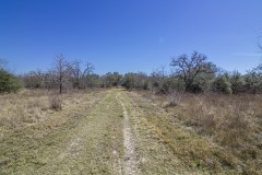 IMG_7876
