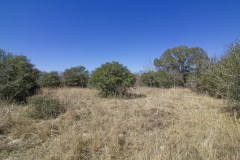 IMG_7883