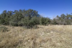 IMG_7884