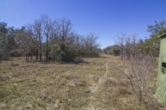 IMG_7888