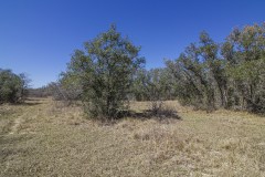 IMG_7890