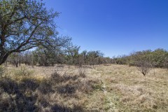 IMG_7899