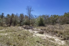 IMG_7901