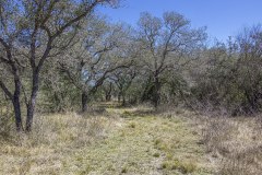 IMG_7907