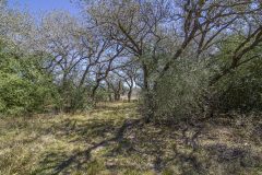 IMG_7908