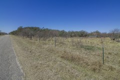 IMG_7911