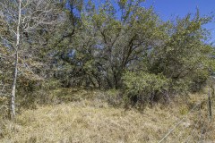 IMG_7915