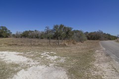 IMG_7918