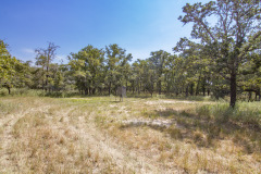 404-feeder-oaks