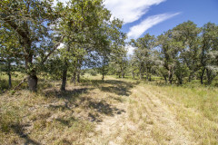 404-trails-oaks