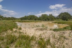 404-water-hole