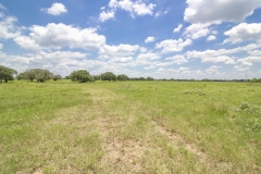 Yorktown Ranch Back Pasture