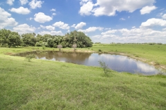 Yorktown Ranch Back Tank