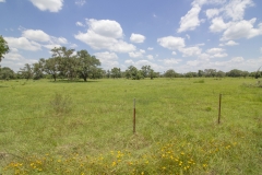 Yorktown Ranch Front Pasture