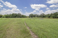 Yorktown Ranch Pasture (2)