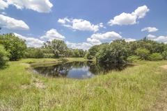 Yorktown Ranch Stock Tank near Home 2