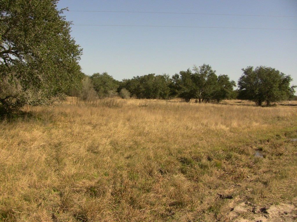 267+/- Acres    Inez-Sold