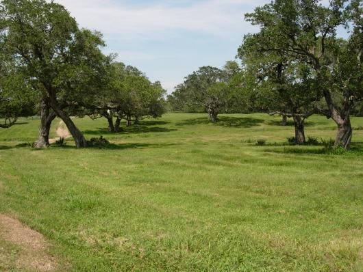 2,807 +/- Acres  Matagorda County