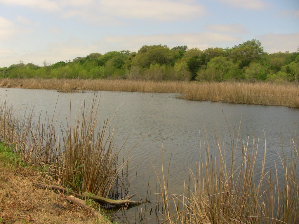 600+/- Acres    Garcitas Creek Ranch