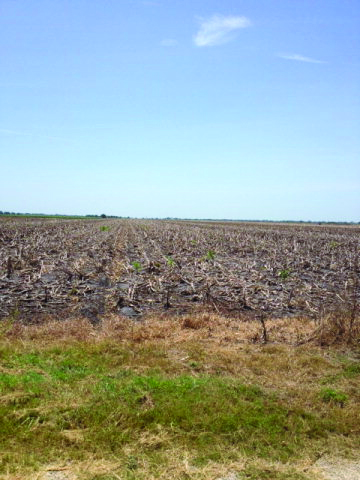 McCoy Road Farm land