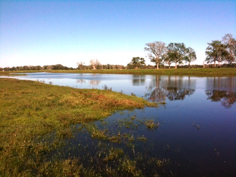 1,167+/- Acres  Spread Oaks Ranch-Sold